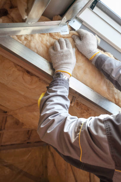 Best Garage Insulation Installation  in Mount Ayr, IA