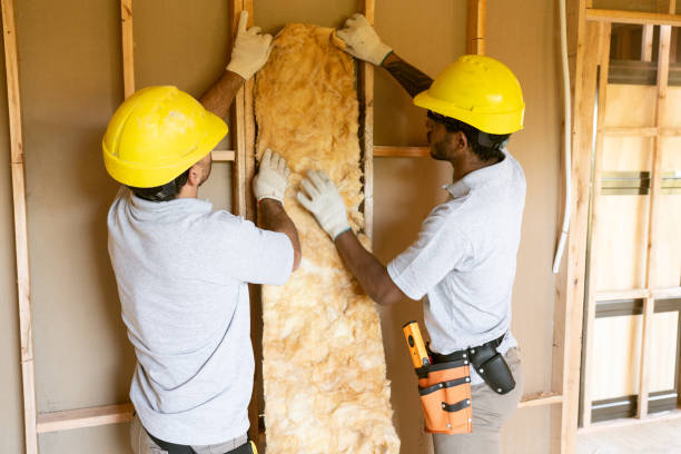 Best Insulation Removal  in Mount Ayr, IA