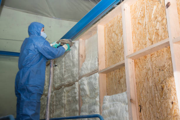 Best Attic Insulation Installation  in Mount Ayr, IA