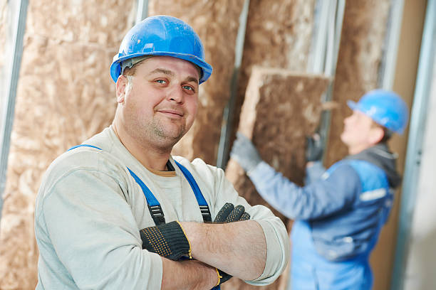 Best Cellulose Insulation  in Mount Ayr, IA